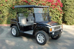 affordable golf cart rental, golf cart rent boston